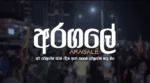 Aragale Yuthukame Geethaya Song Mp3 Download - Best Songs 2022