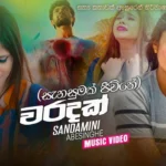 Waradak Sandamini Abesinghe Song Mp3 Download - Best Songs 2022