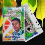 Sadaham Sisilen Album Chamara Weerasinghe