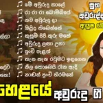 Sinhala Awurudu Songs Collection - Best Sinhala Aluth Avurudu Songs Download